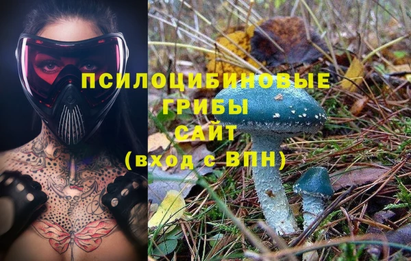 jwh Бугульма