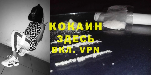 крисы Бронницы